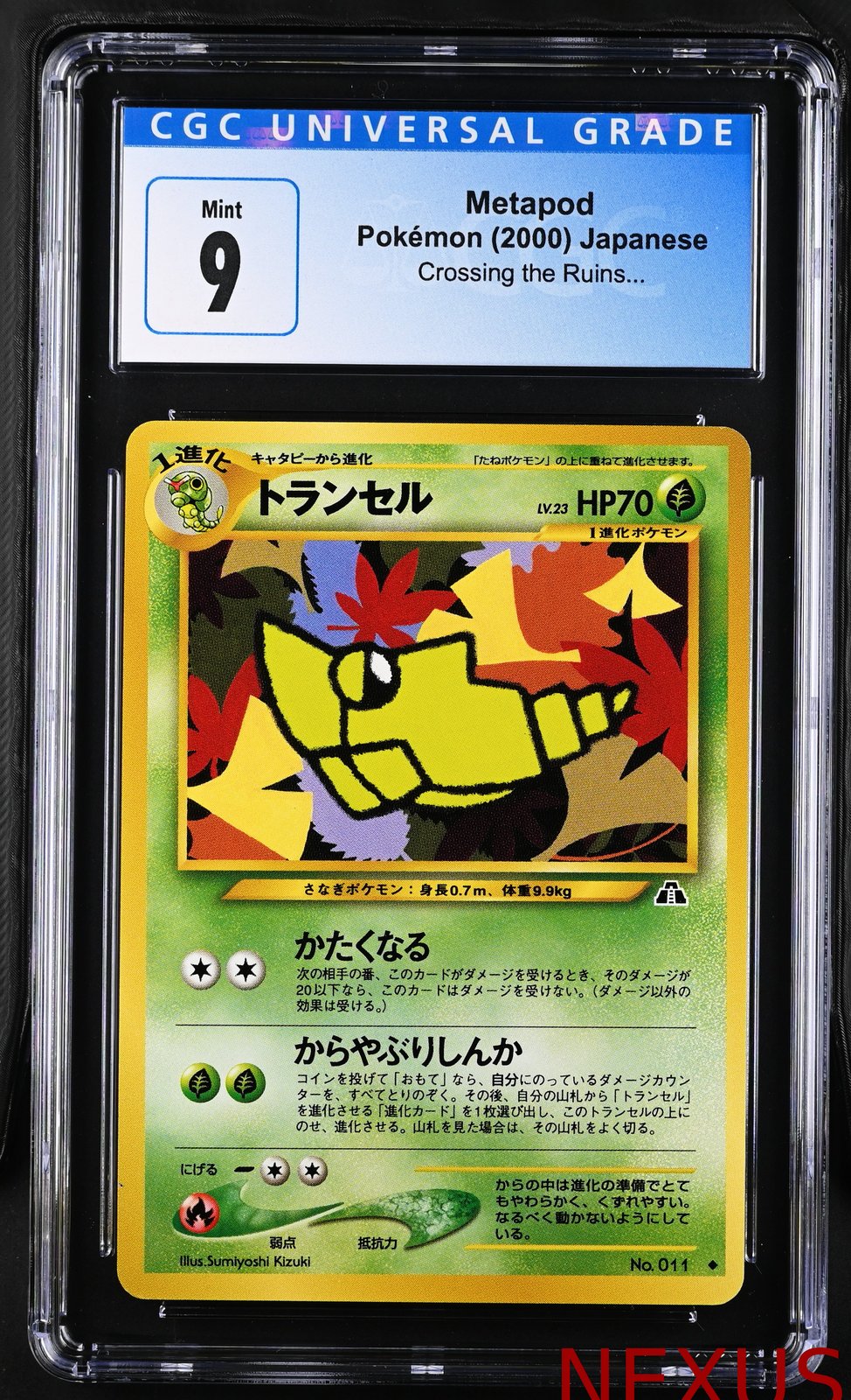 Metapod Crossing The Ruins... Pokemon Japanese CGC 9 Mint