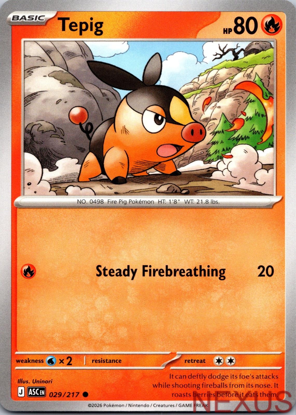 Tepig 029/217 Common Near Mint