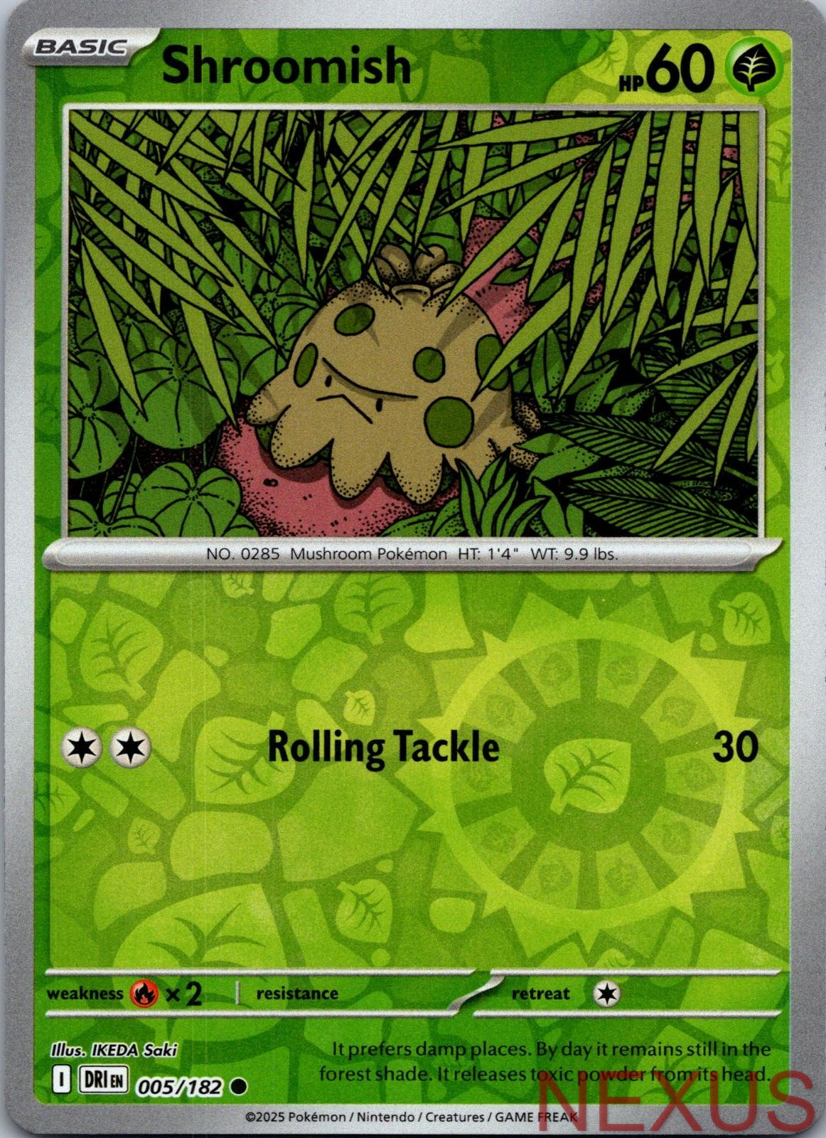 Shroomish 005/182 Common Reverse Holo Near Mint
