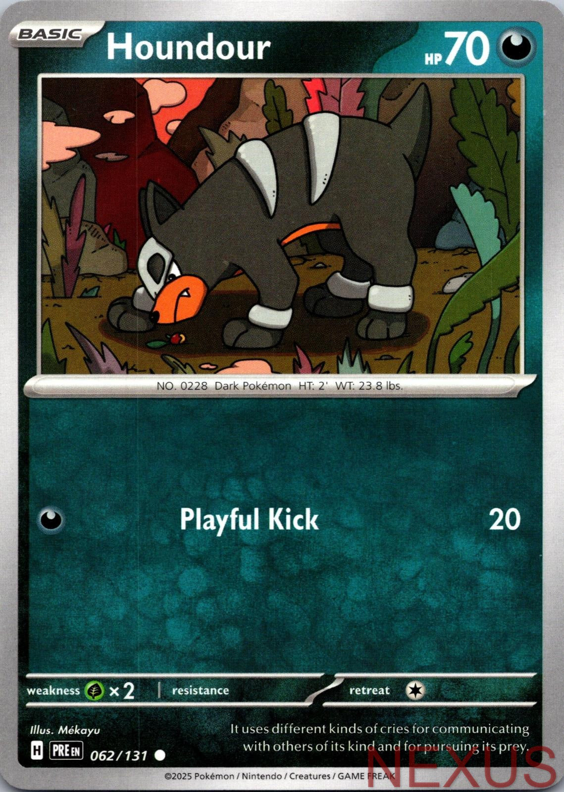 Houndour 062/131 Common Near Mint