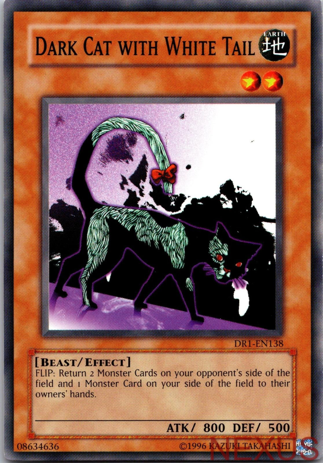 Dark Cat with White Tail DR1-EN138 Common Dark Revelation Volume 1 Unlimited NM