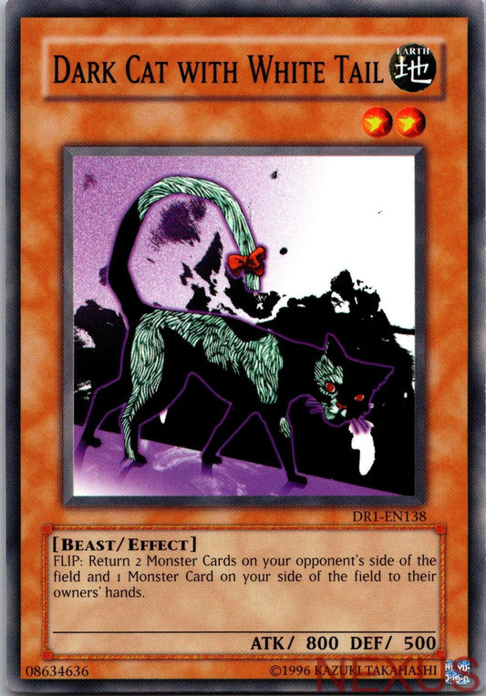 Dark Cat with White Tail DR1-EN138 Common Dark Revelation Volume 1 Unlimited NM