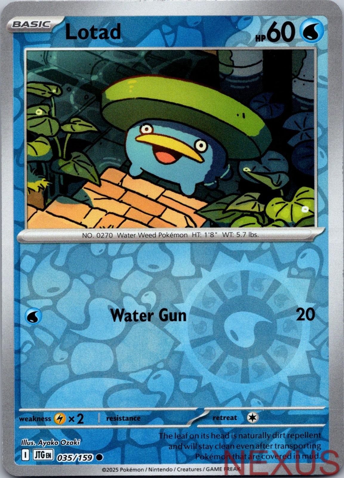Lotad 035/159 Common Reverse Holo Near Mint