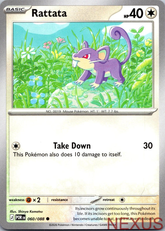Rattata 060/088 Common Near Mint