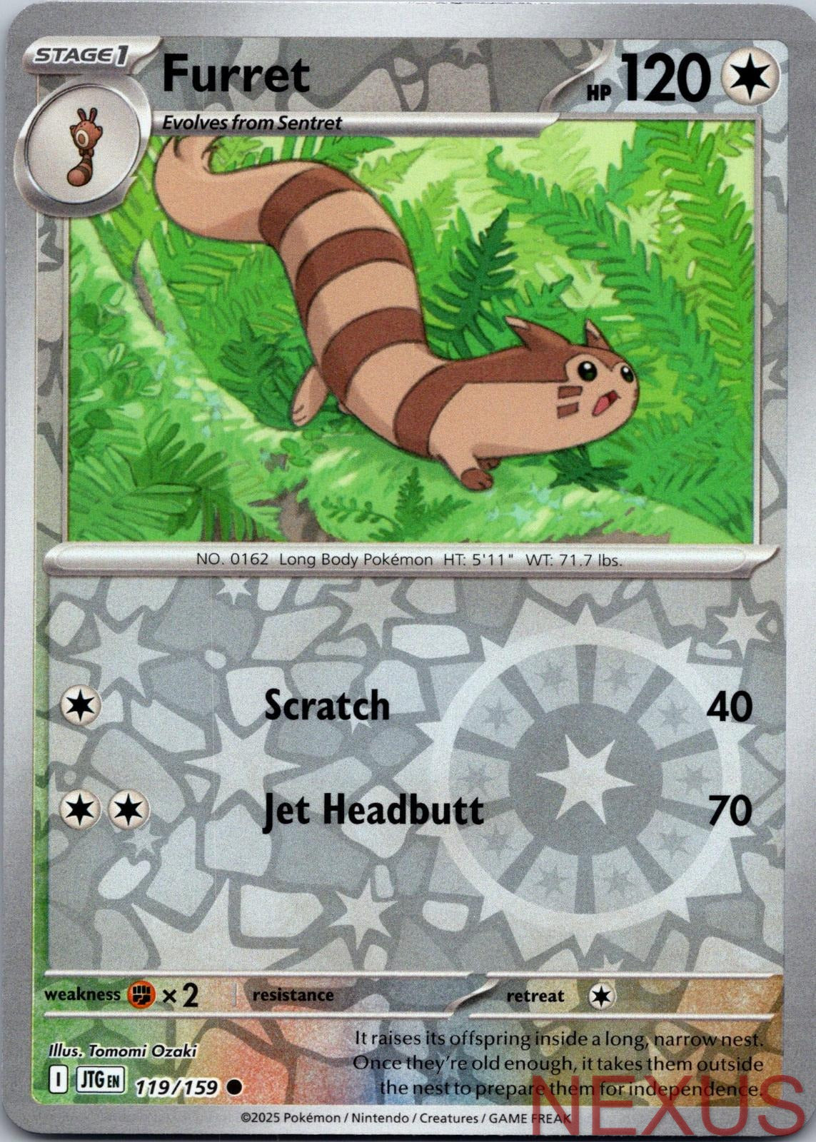 Furret 119/159 Common Reverse Holo Near Mint