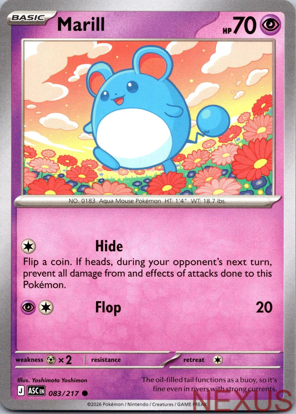 Marill 083/217 Common Near Mint
