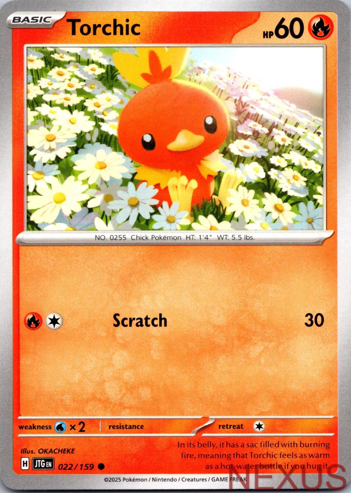 Torchic 022/159 Common Near Mint