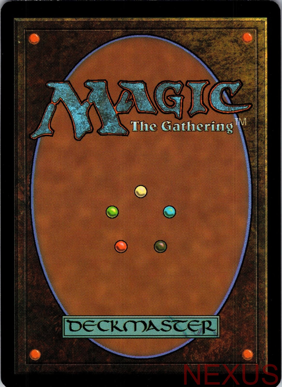 Plains (0191) 0191 Land Teenage Mutant Ninja Turtles Magic: The Gathering NM