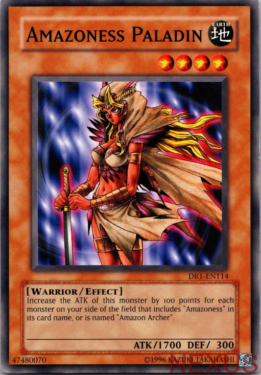 Amazoness Paladin DR1-EN114 Dark Revelation Volume 1 Yu-Gi-Oh Unlimited NM