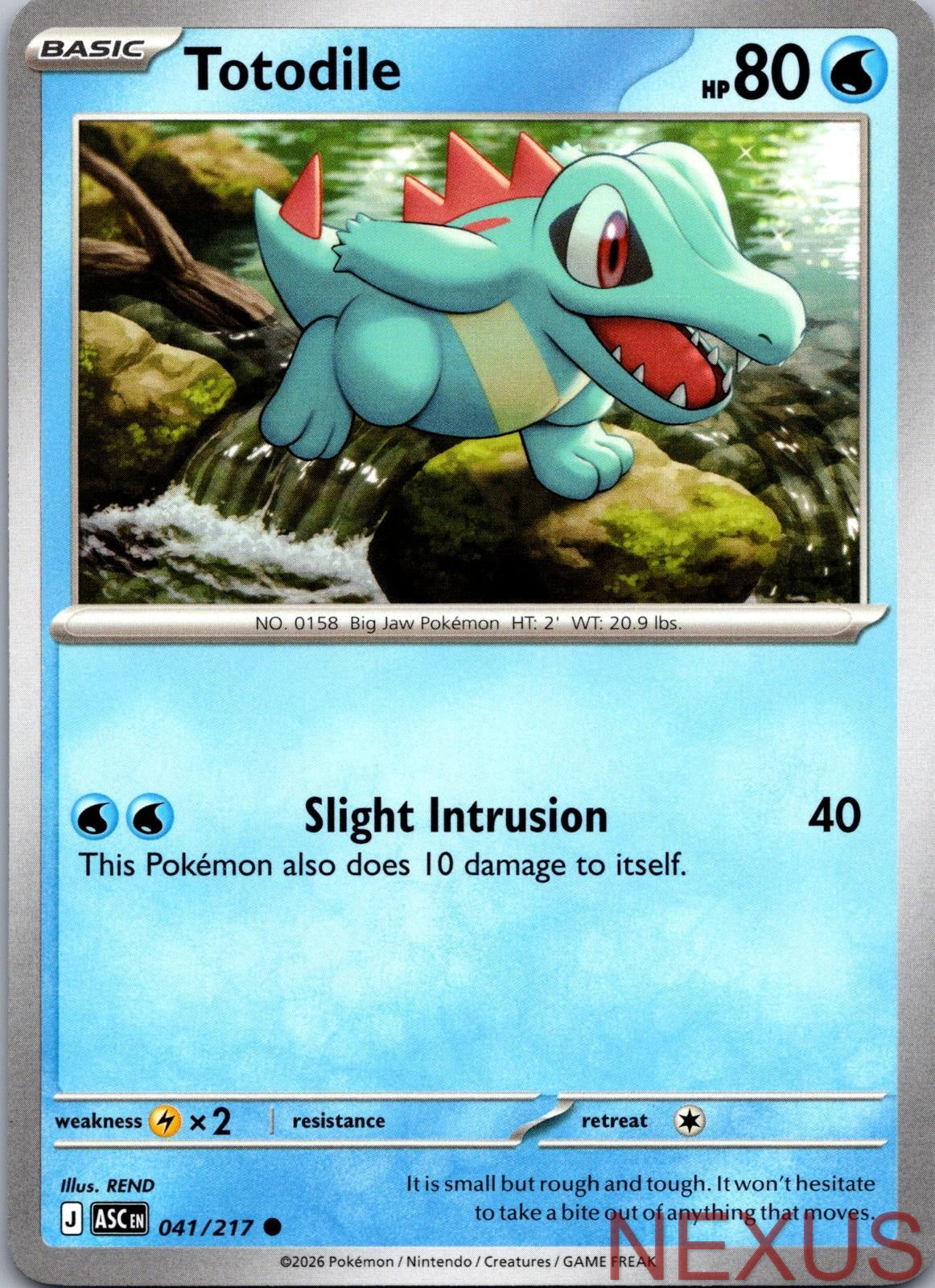 Totodile 041/217 Common Near Mint