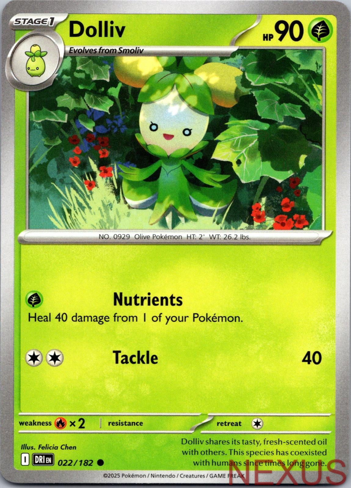 Dolliv 022/182 Common Near Mint