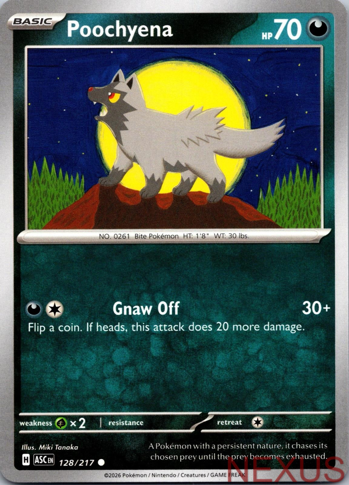 Poochyena 128/217 Common Near Mint