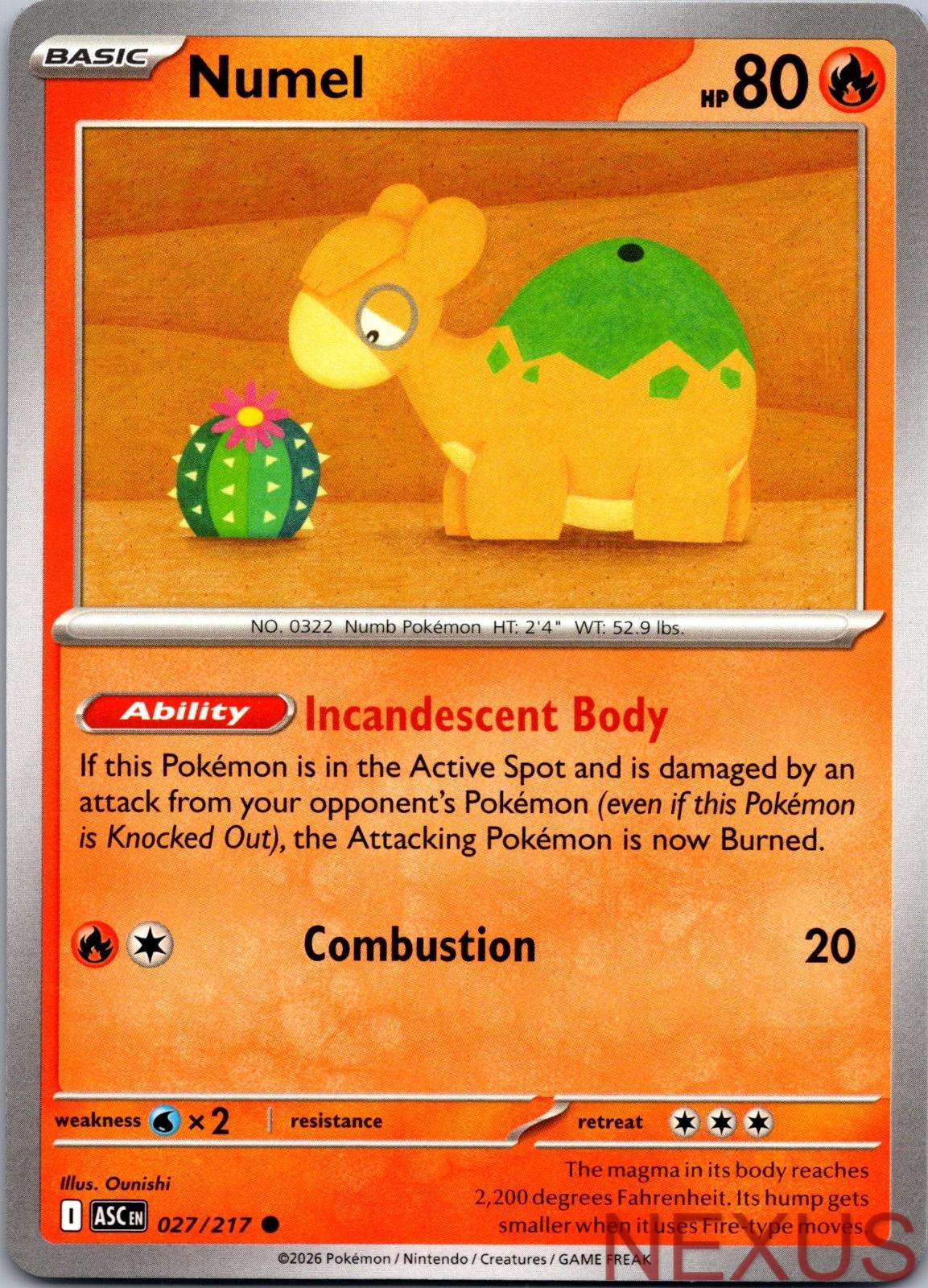 Numel 027/217 Common Near Mint